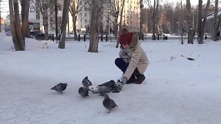 Покормите птиц зимой/ Александр Яшин. Читает Мария Ронжина.