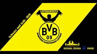 Schwarz und Gelb - BVB