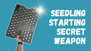 How to Start Seedlings in an AeroGarden | Growing food hydroponically