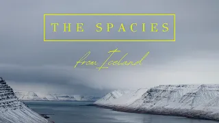 “From Iceland” - Album Trailer