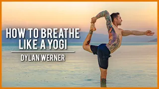 How To Breathe Like A Yogi - Dylan Werner | Modern Wisdom Podcast 282