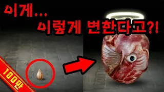 씨앗 키우기 - 이 조그만게 이렇게 변한다고?! [플레임]