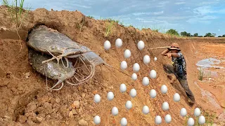 Unbelievable fishing! a lots of catch fish & duck eggs in big canal after dry season by hand