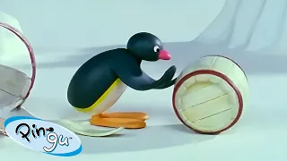 Pingu Gets Enthusiastic! 🐧 | Pingu - Official Channel | Cartoons For Kids