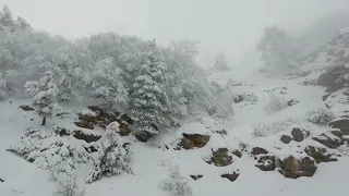 Как мы застряли на подъёме Ай петри.