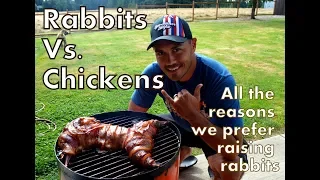 Why We Prefer Meat Rabbits Over Raising Chickens
