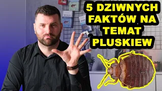 TEGO NAPEWNO NIE WIESZ O PLUSKWACH #pluskwy #pluskwa #odpluskwianie