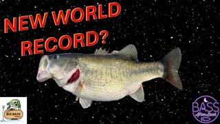 Is a new world record bass just around the corner?