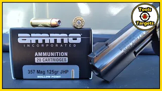 Can BUDGET Magnum AMMO Do The Job?