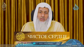 Чистое сердце | Исцеление сердец [1] | Шейх Мустафа аль-'Адави ᴴᴰ