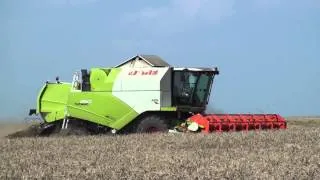 Жатва 2013.CLAAS TUCANO 450