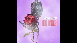 JOYBVND ft. KNG EGO - TOO MUCH