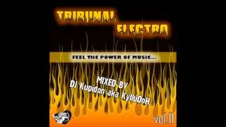 Dj Kupidon aka KyIIuDoH Track 18 TRIBUNAL Electro vol11 2012