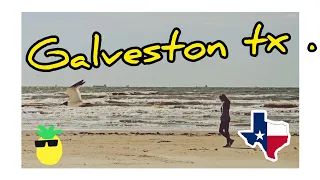 Galveston Tx !!