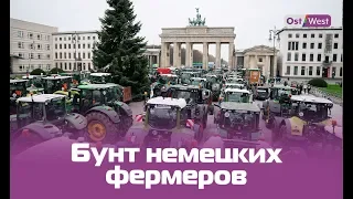 Тракторы захватили Берлин: почему бастуют немецкие фермеры?