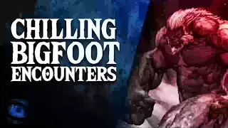 16 TRUE BIGFOOT SIGHTINGS COMPILATION - SASQUATCH ENCOUNTERS - What Lurks Above