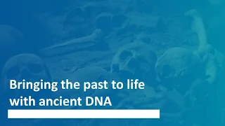 Bringing the past to life with ancient DNA