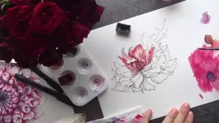 Ботаническая иллюстрация - процесс создания цветка Lilit Sarkisian