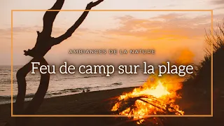 ASMR Ambiance : Feu de camp sur la plage | ASMR Ambience : campfire on the beach
