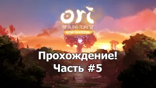 Проходим игру Ori and the Blind Forest: Definitive Edition #5