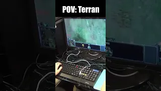 POV: Terran and Protoss in StarCraft 2