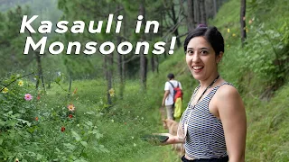 Secret Spot in Kasauli filled with flowers! Monsoon #WeekendTrips by Tanya Khanijow | Himachal