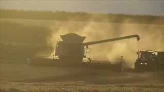 Harvest 2018 Claas 780 in Barley