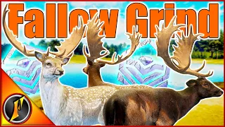 A New Look Fallow Multimount! | How I Grind for Fallow Deer