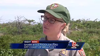 Shark bites paddleboard off Cape Cod beach