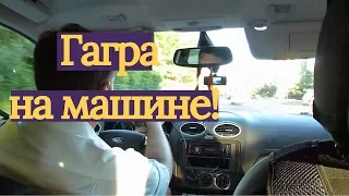 Гагры На Машине