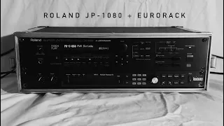 Roland JP-1080 + Eurorack