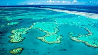 Great Barrier Reef facing bleaching event