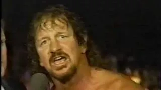 Terry Funk's Beautiful Dream