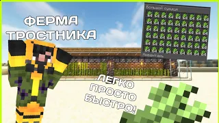 ЛЁГКАЯ ФЕРМА ТРОСТНИКА В МАЙНКРАФТ 1.16.5-1.20.2