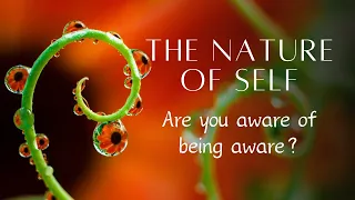 Advaita! Ajanma! | A pointer to seeing Awareness as the Self