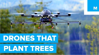 How Drones are Helping to Plant Trees - A Cleaner Future