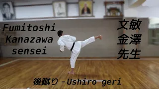 Fumitoshi sensei －Ushiro geri