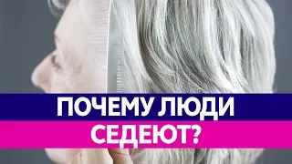 Почему СЕДЕЮТ ВОЛОСЫ? Седина у молодых мужчин и женщин.