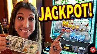 INSANE! 😮 $100 to a JACKPOT! HUFF 'N MORE PUFF Slot Mansion Bonus! 👀 @SevenFeathersCasino #slots