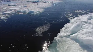 Дикая природа Скандинавии  6  Гренландия ⁄ Greenland 1080p