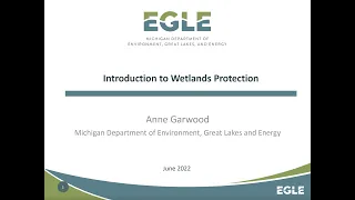 TSN x EGLE present: Introduction to Wetlands Protection