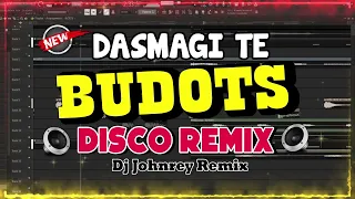 DASMAGI TE BUDOTS 2024 REMIX - DJ JOHNREY DISCO REMIX