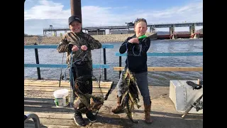 Perch fishing on the Great Alma Fishing Float 4/3/2023