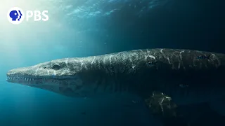 Discovering the Secrets of a Jurassic Sea Monster