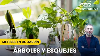 🌳 Árboles y esquejes | Meterse en un jardín, con Eduardo Barba