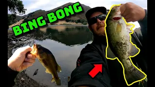 Exploring UVAS Reservoir AGAIN (San Jose Bass Fishing)