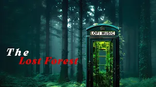 🌲 The Lost Forest 🌳 Deep Relaxing Lofi HipHop Music for Meditation, Concentration & Study