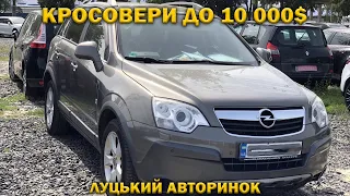 КРОСОВЕРИ до 10 000$ / Луцький авторинок / 30 серпня 2022р.