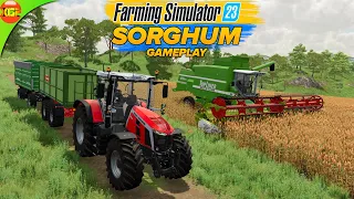 Sowing & Harvesting New Crop Sorghum in Farming Simulator 23 Mobile