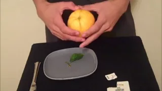 Card to Lemon/Orange Trick Revealed